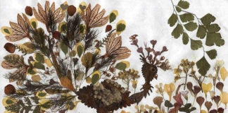 Creare un quadro con i fiori secchi 1148 0 Un quadro con i fiori secchi_OK